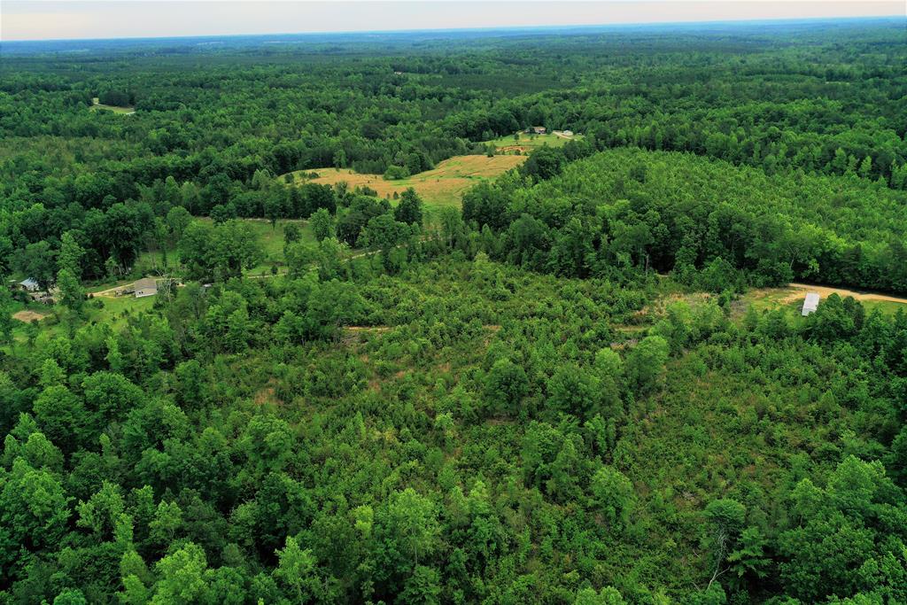 3567 Poorhouse Road Victoria, VA 23974 - Photo 11 of 39 Gallery Image 11