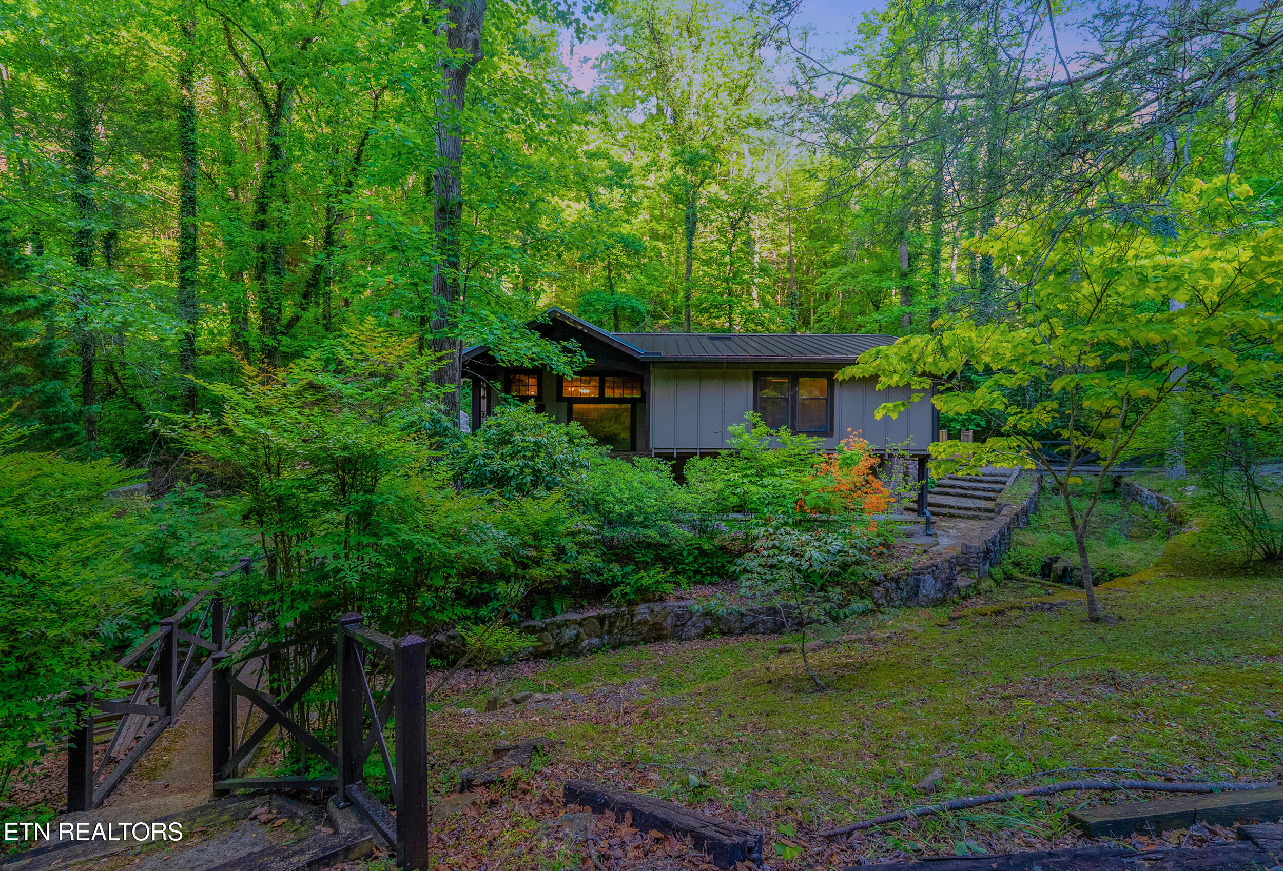 259 Black Mash Hollow Road Townsend, TN 37882 - Photo 3 of 42 IMG_2842