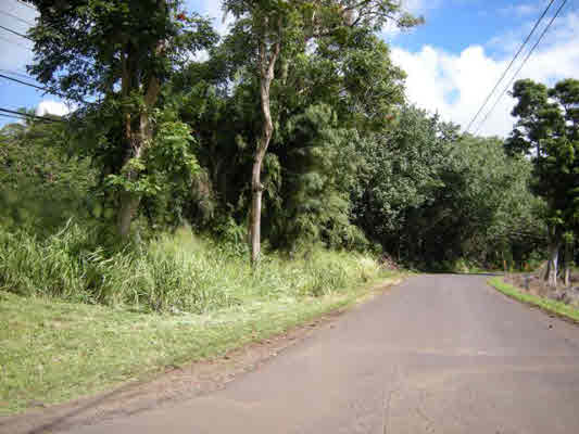 Iwipoo Road Koloa, HI 96756 - Photo 2 of 4 Gallery Image 2