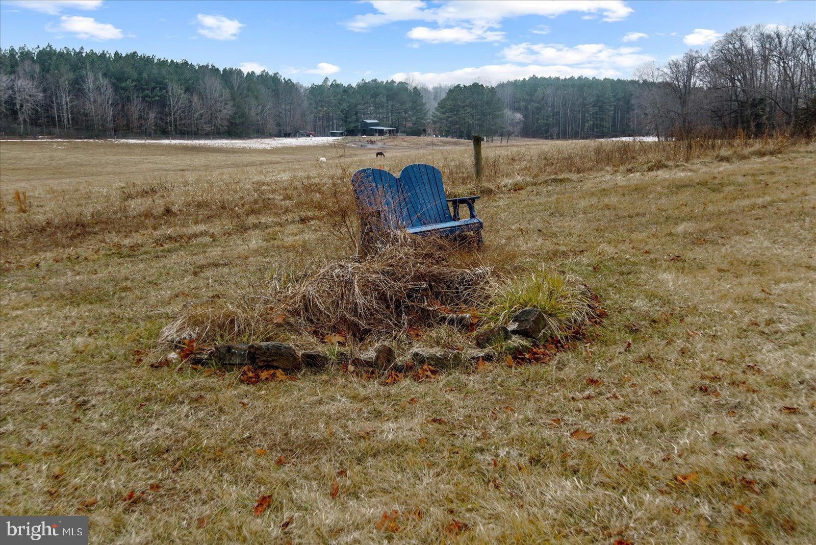 11310 St Just Road Unionville, VA 22567 - Photo 35 of 40 Serene retreat amidst nature's embrace.