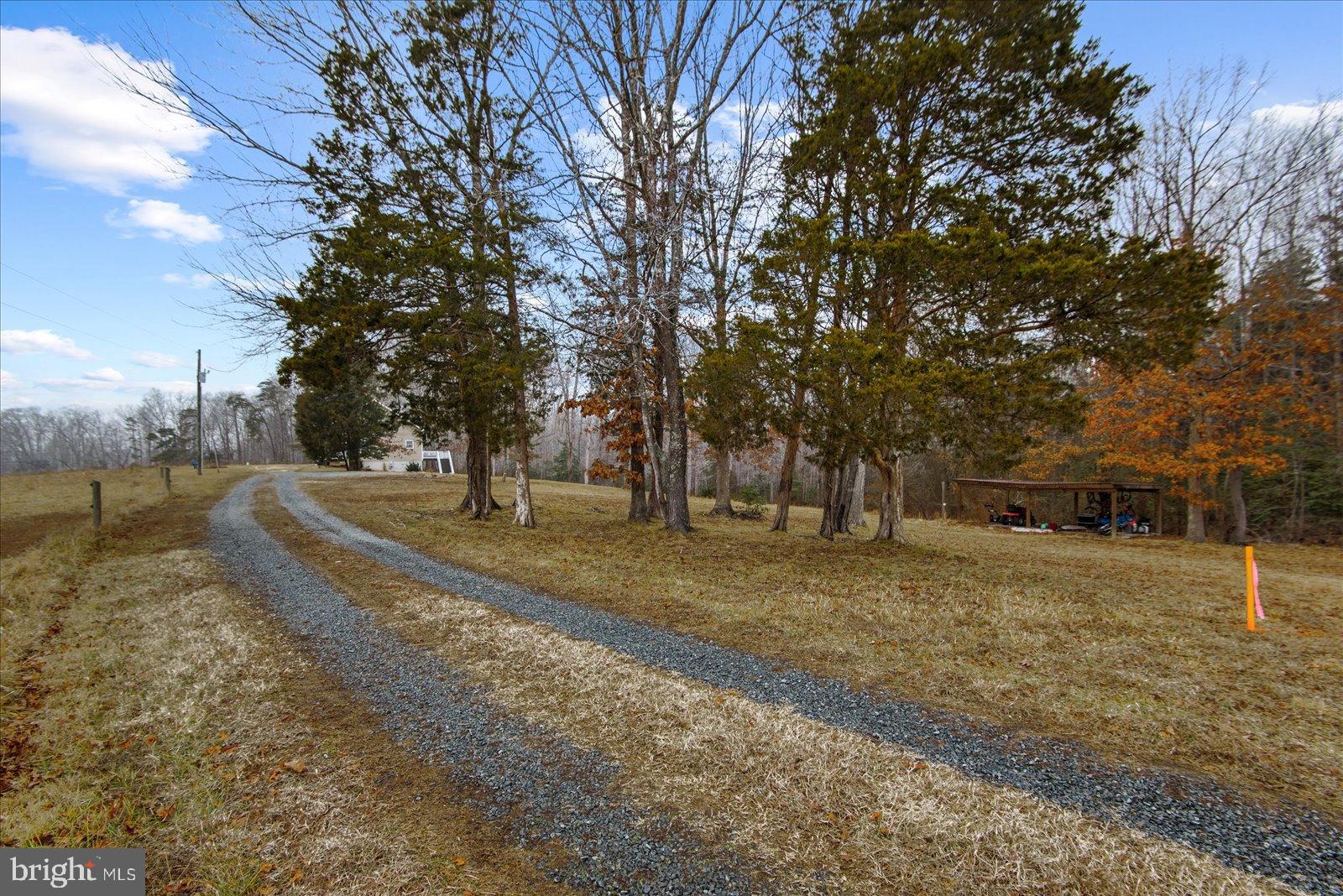 11310 St Just Road Unionville, VA 22567 - Photo 36 of 40 Long driveway framed by tall trees.