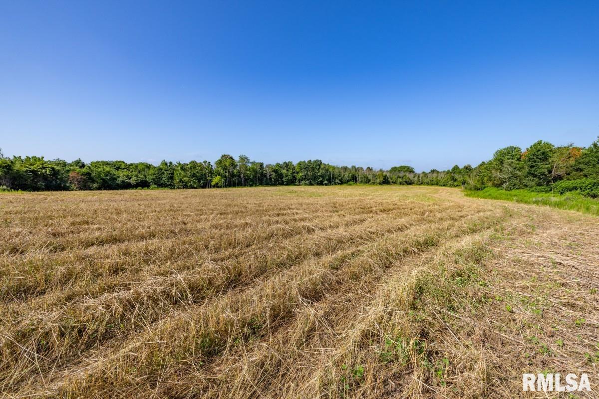 0 Tom Dick Hill Road Stonefort, IL 62987 - Photo 15 of 62
