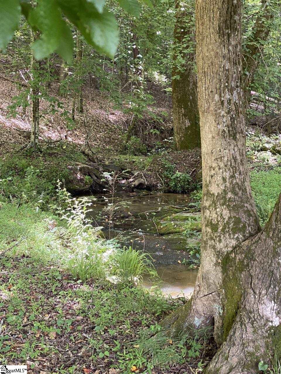 401 Prater's Creek Road Pickens, SC 29671 - Photo 18 of 21