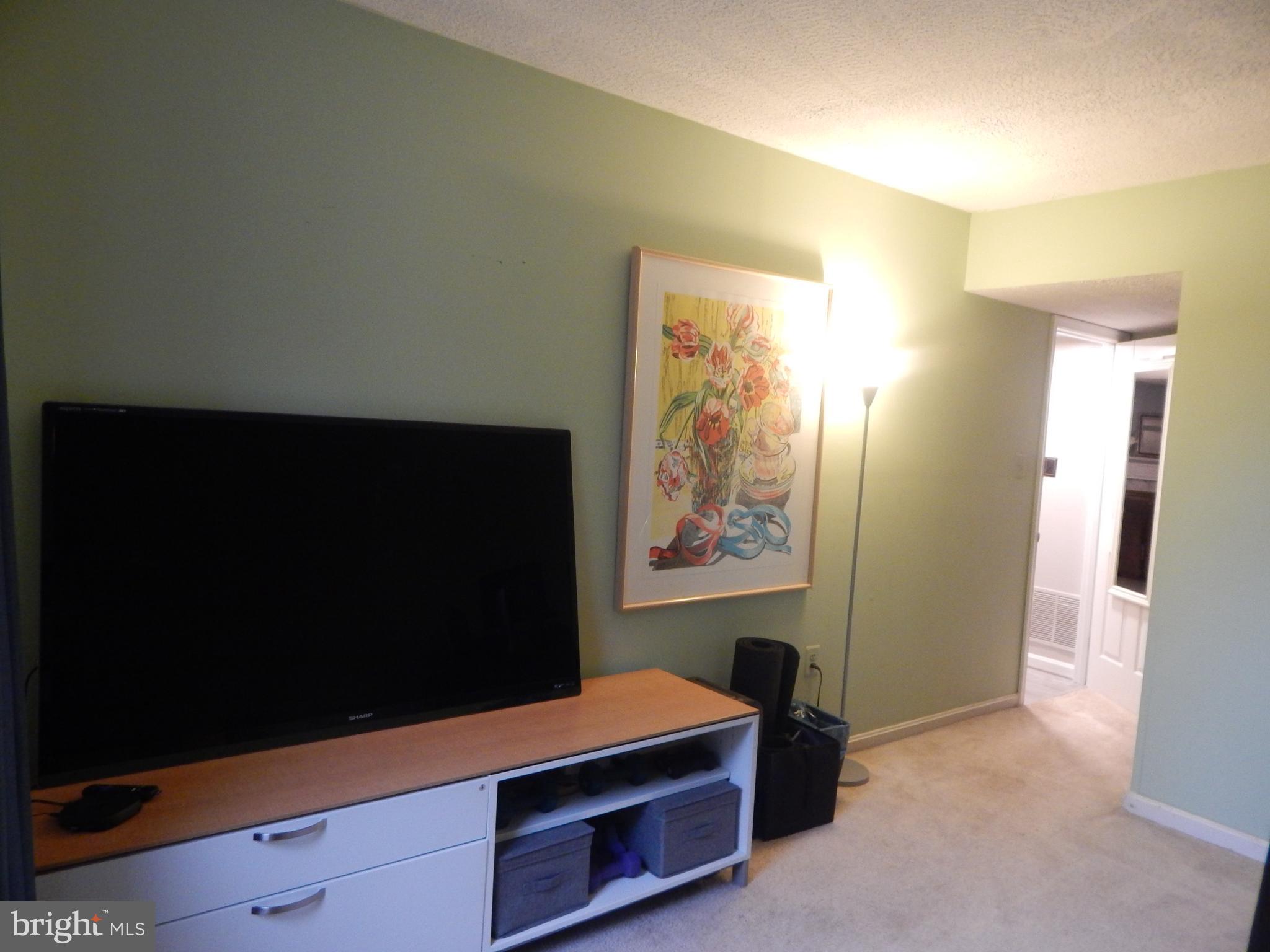 8607 Edison Lane Clinton, MD 20735 - Photo 39 of 52 Lower Level room 2