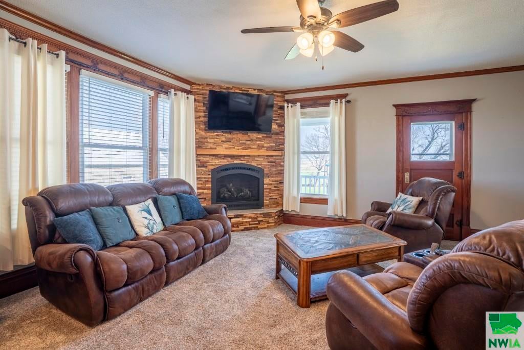 46592 220th Street Remsen, IA 51050 - Photo 13 of 29 Gallery Image 13