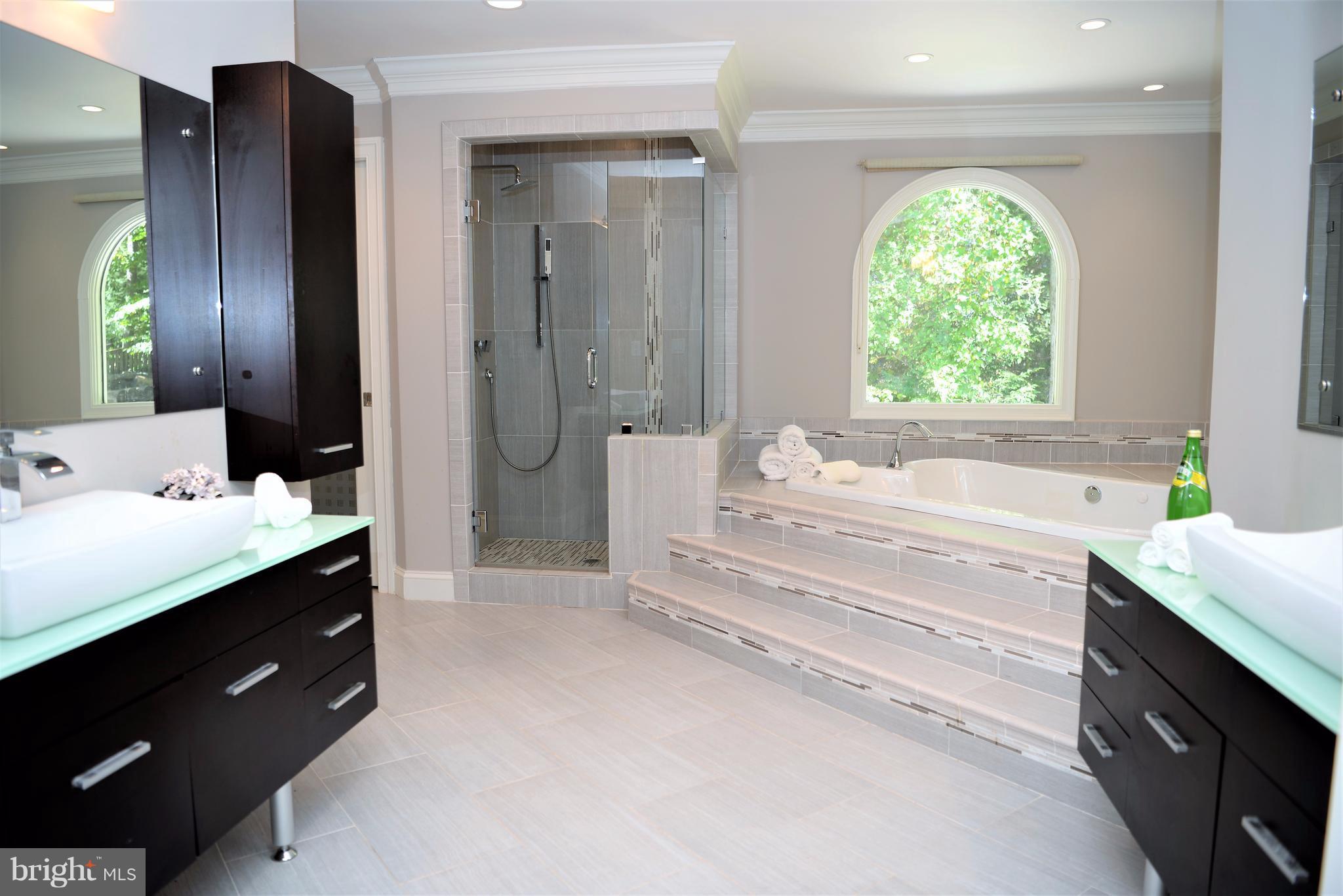 827 Swinks Mill Road McLean, VA 22102 - Photo 14 of 30 Bath (Master)
