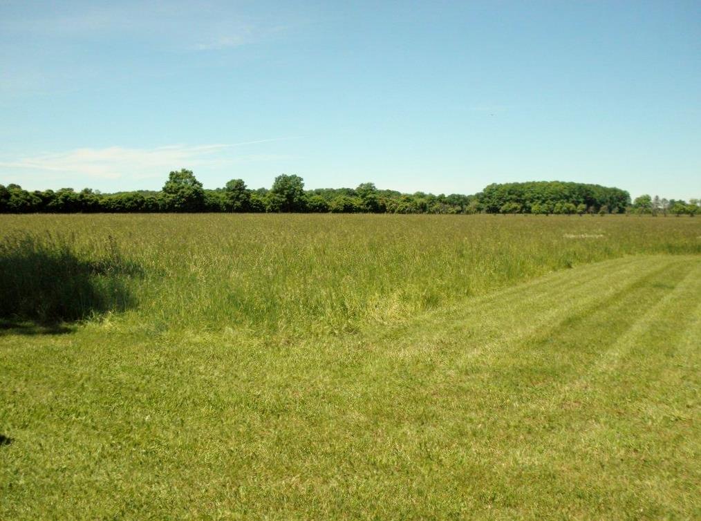 19830 Faylor Road Copemish, MI 49625 - Photo 20 of 53 1815855-19.JPG