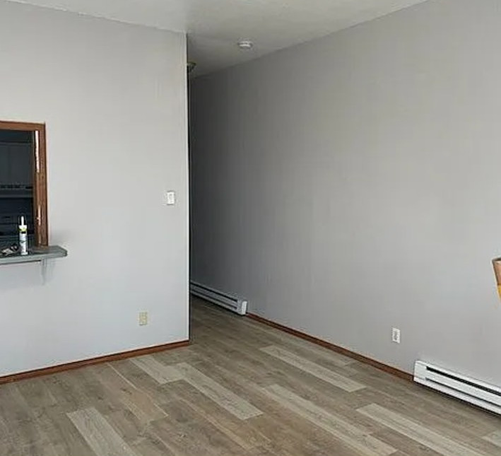 105 South Liberty Street Marion, IL 62959 - Photo 11 of 13 a view of an empty room