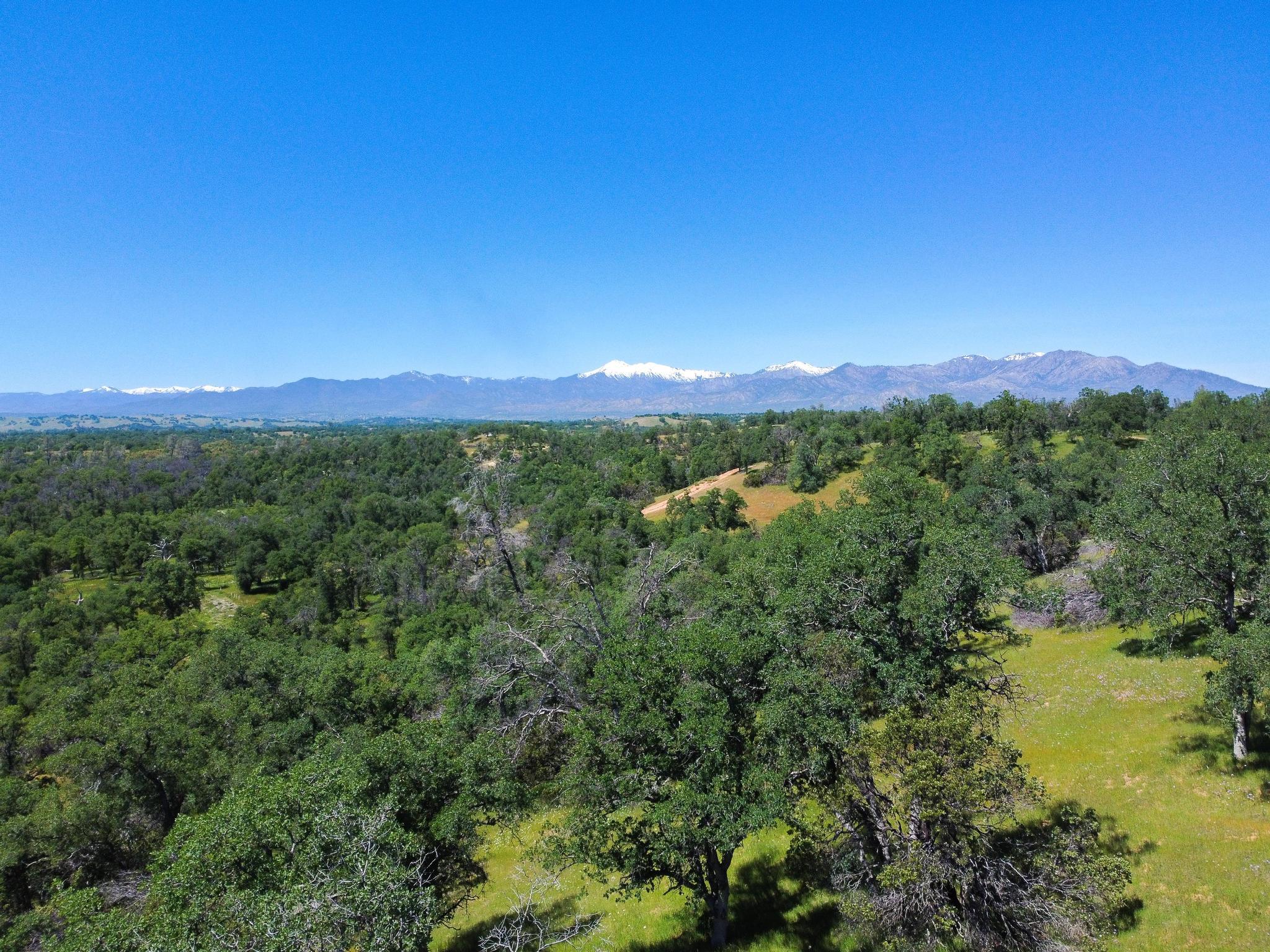 40 Two Feathers Road Igo, CA 96047 - Photo 12 of 16 DJI_0105