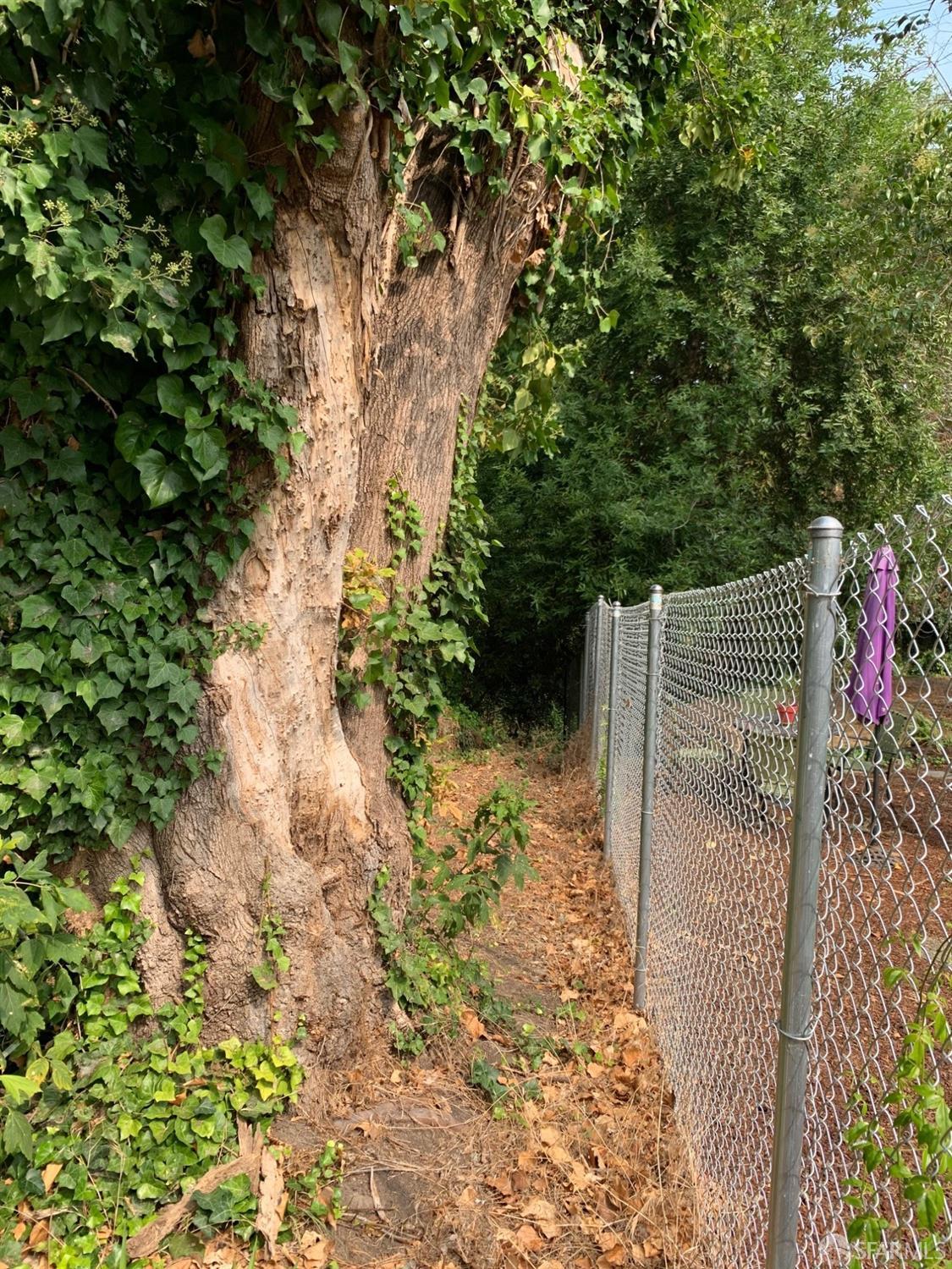 4265 San Pablo Dam Road El Sobrante, CA 94803 - Photo 12 of 24