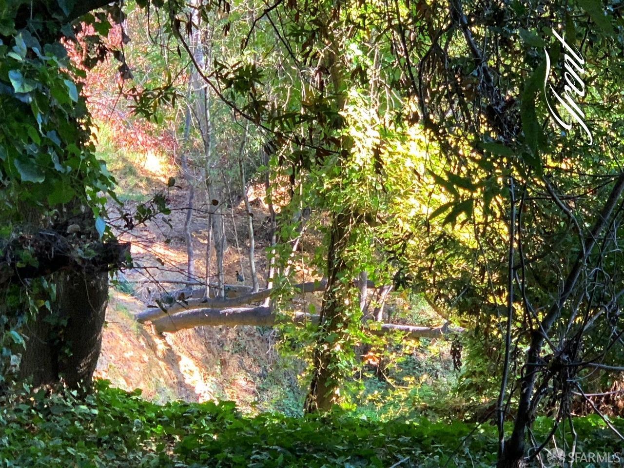 4265 San Pablo Dam Road El Sobrante, CA 94803 - Photo 8 of 24