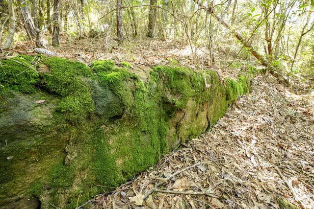 $149,450 | 69 North N Colmesneil Tx 75938 North, Colmesneil, TX 75938