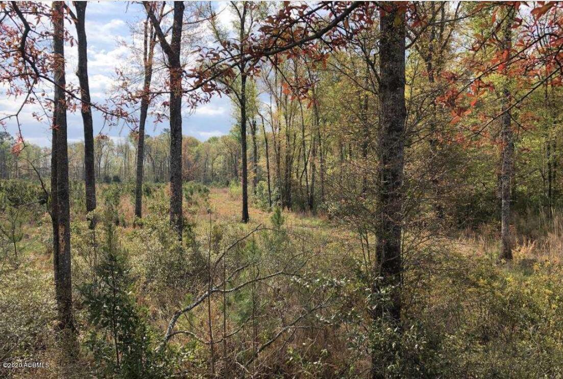 1465 Firetower Road Pineland, SC 29934 - Photo 1 of 19 5e161201