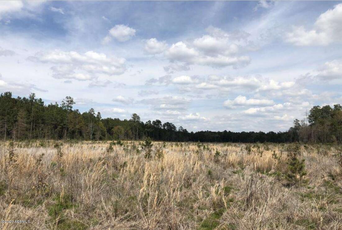 1465 Firetower Road Pineland, SC 29934 - Photo 11 of 19 5e16128b