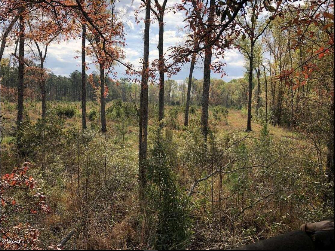 1465 Firetower Road Pineland, SC 29934 - Photo 19 of 19 5e1610b4