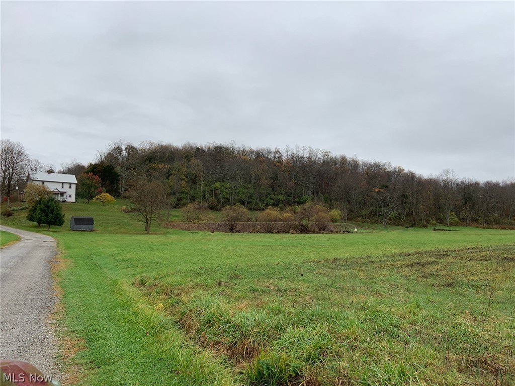 85620 Fife Road Cadiz, OH 43907 - Photo 2 of 33