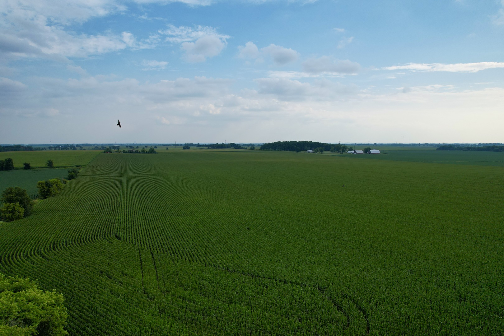 Lot 1 Kendall Road Winnebago, IL 61088 - Photo 8 of 27 a view of a big yard with green space