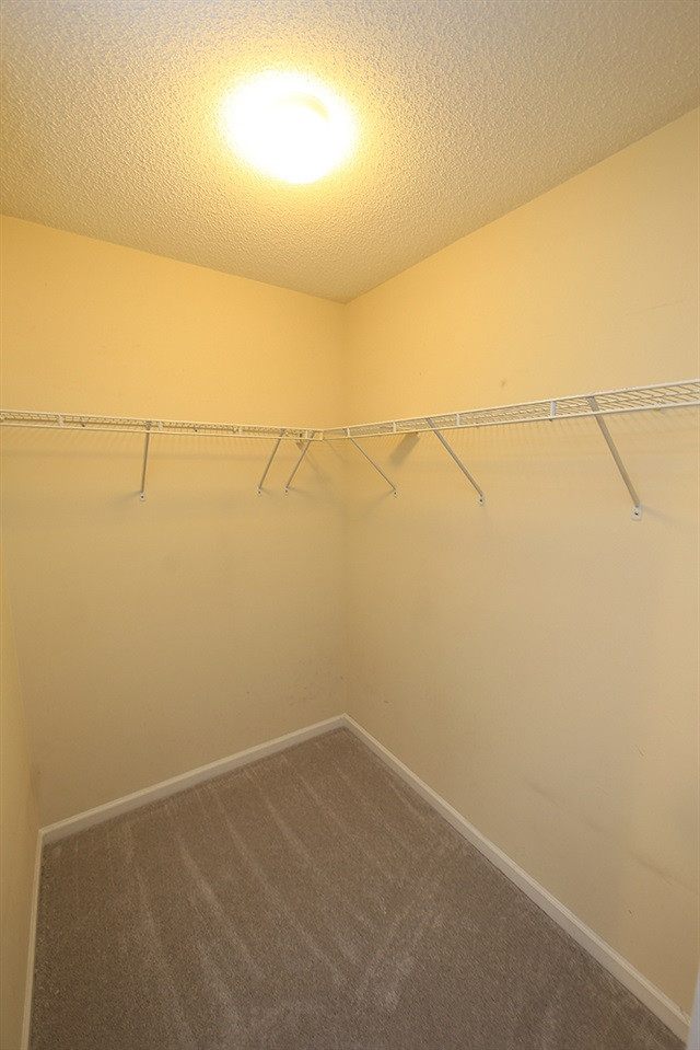 3053 Winding Waters Way Raleigh, NC 27614 - Photo 20 of 30 Photo 20