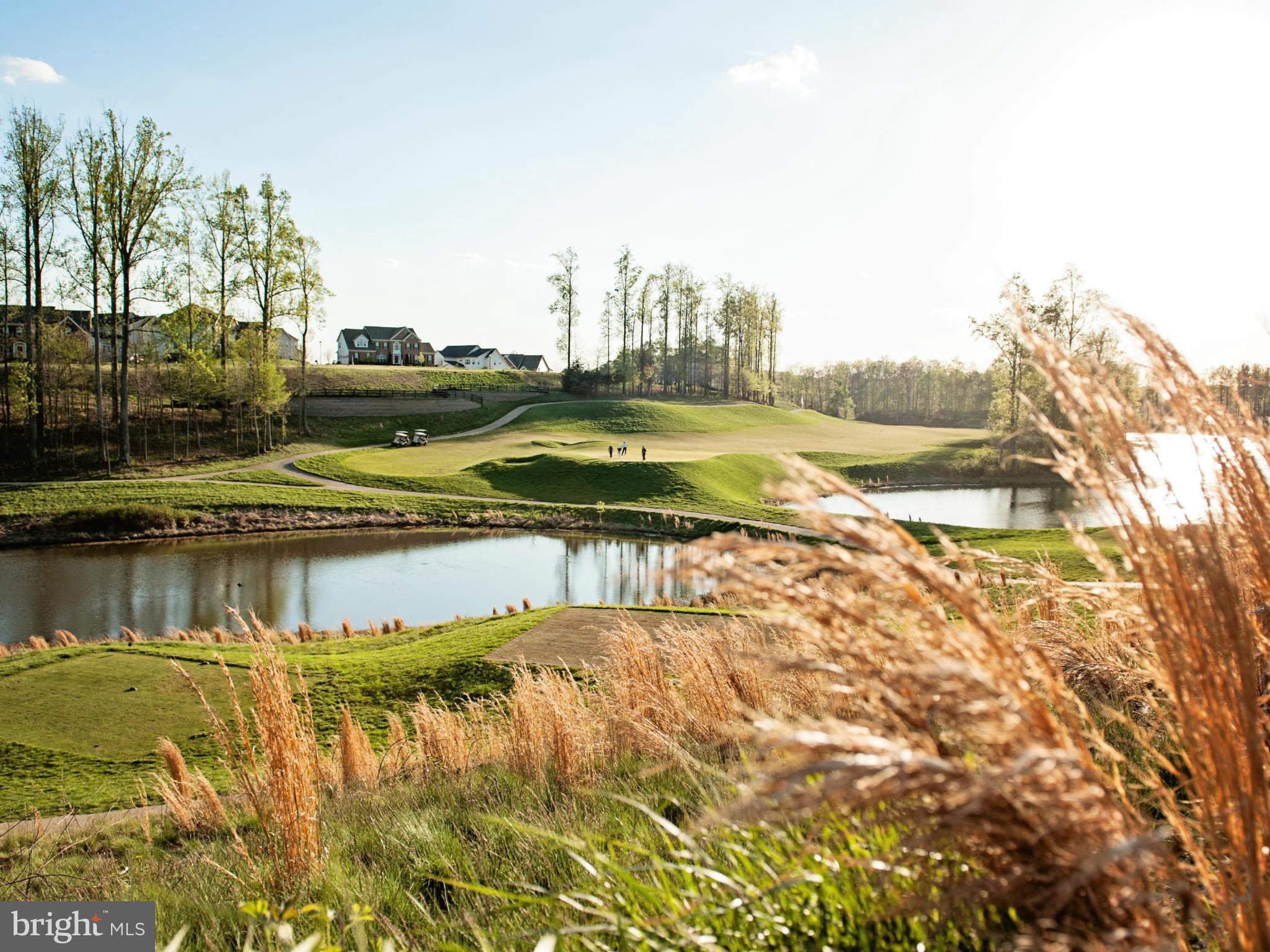 15806 Swanscombe Loop Upper Marlboro, MD 20774 - Photo 24 of 30 Community