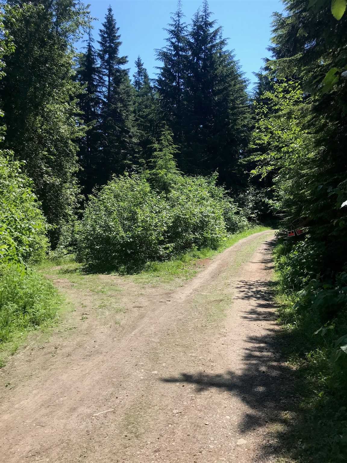 1 Snowblaze Rec Tracts Mead, WA 99021 - Photo 1 of 2