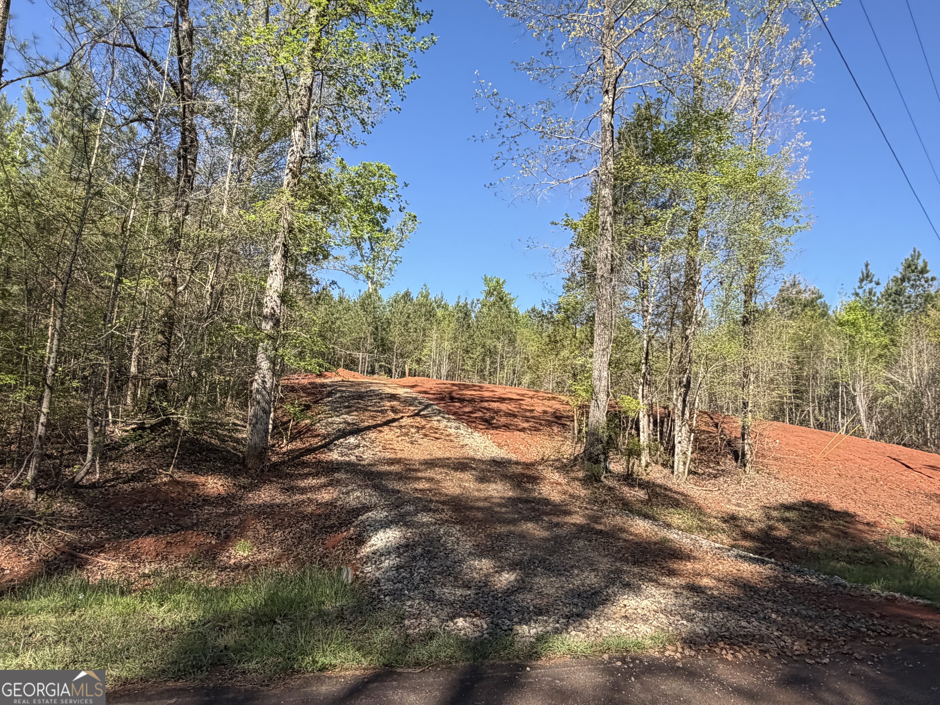 0 Andrews Chapel Road Thomaston, GA 30286 - Photo 4 of 9