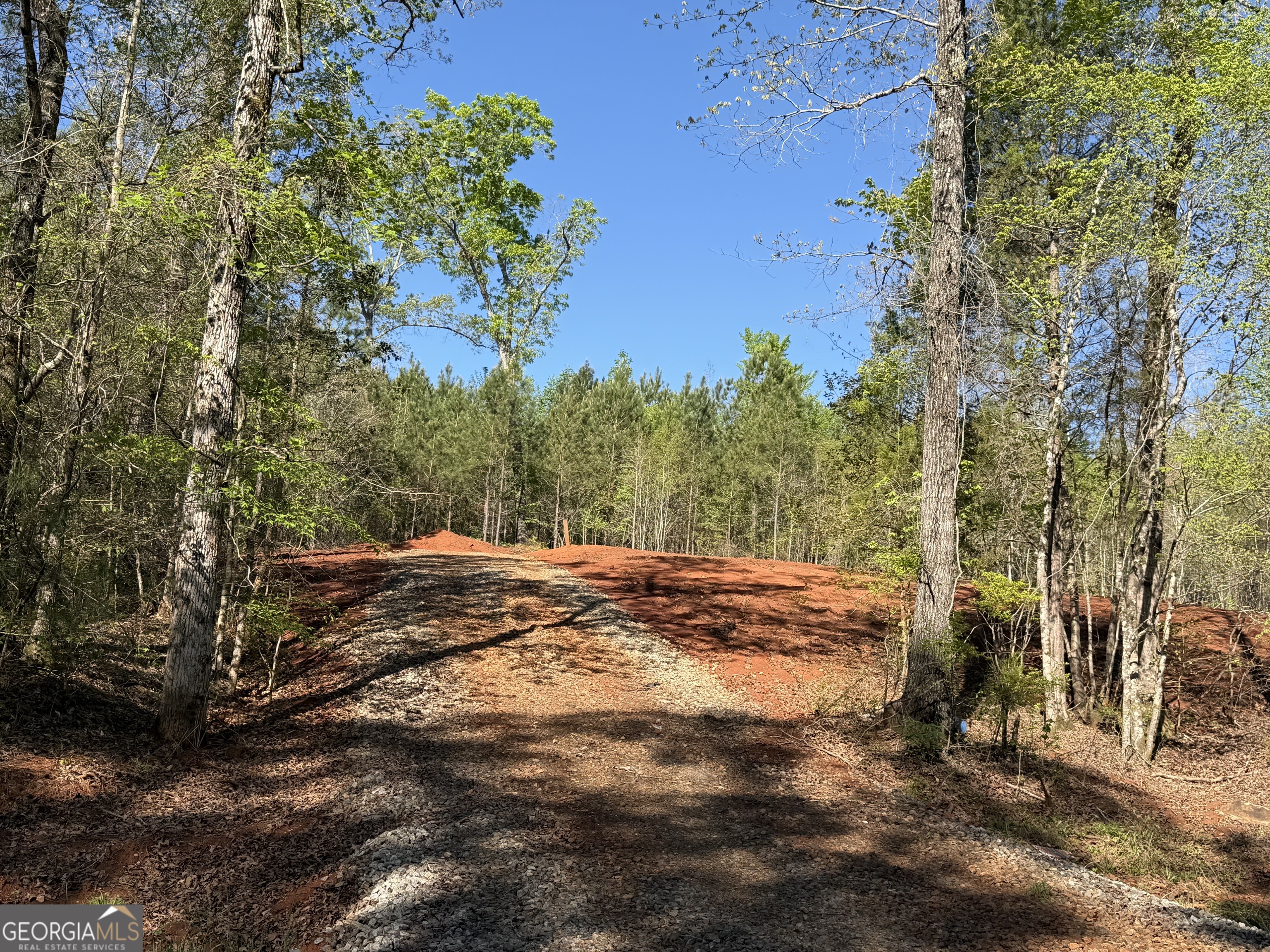 0 Andrews Chapel Road Thomaston, GA 30286 - Photo 5 of 9