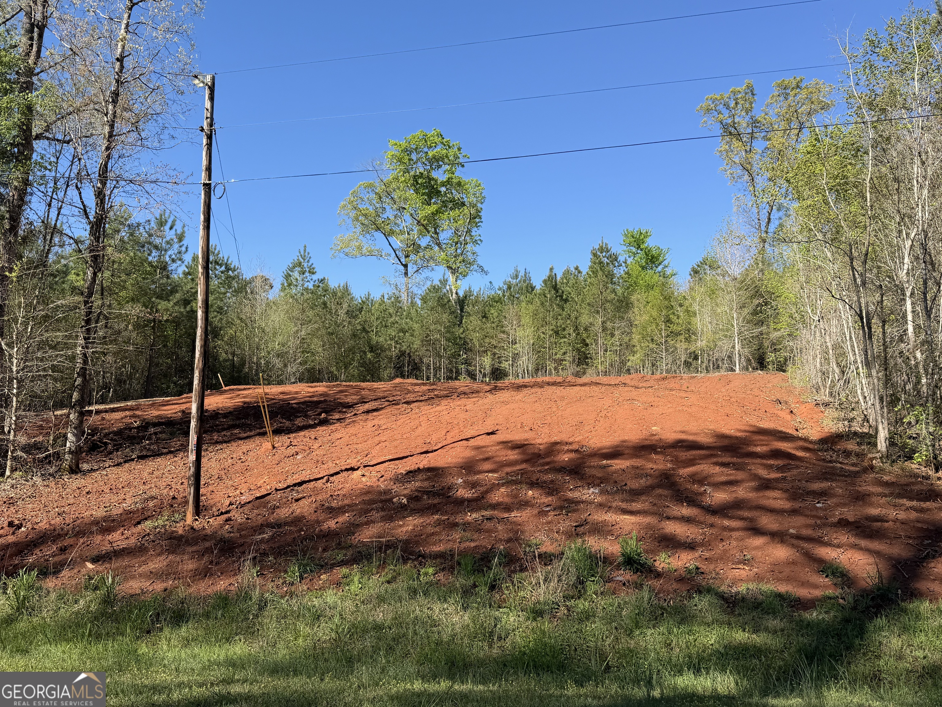 0 Andrews Chapel Road Thomaston, GA 30286 - Photo 6 of 9