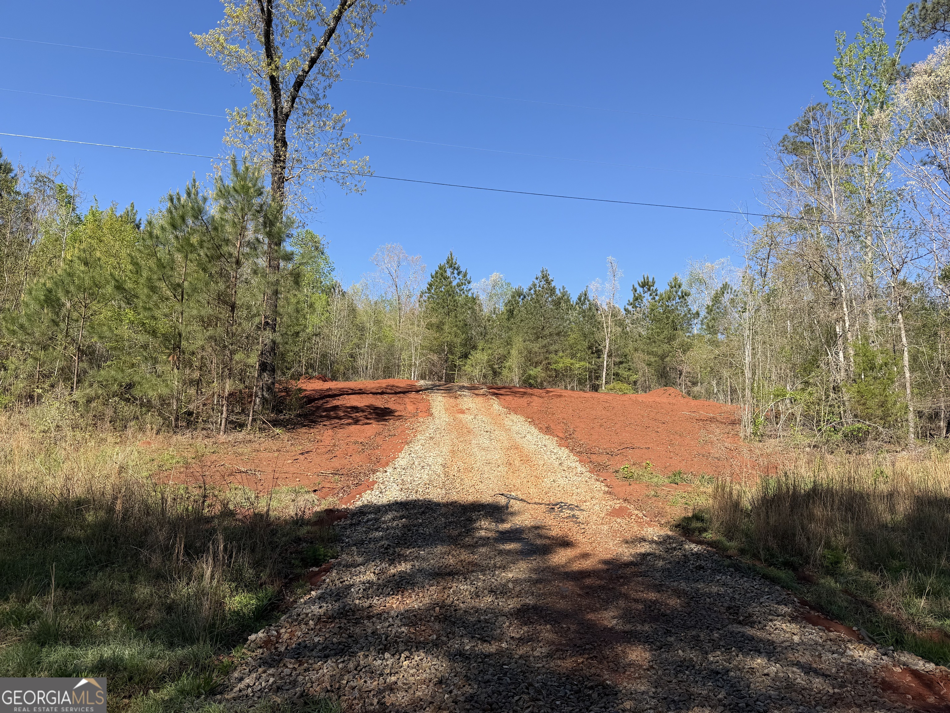 0 Andrews Chapel Road Thomaston, GA 30286 - Photo 7 of 9