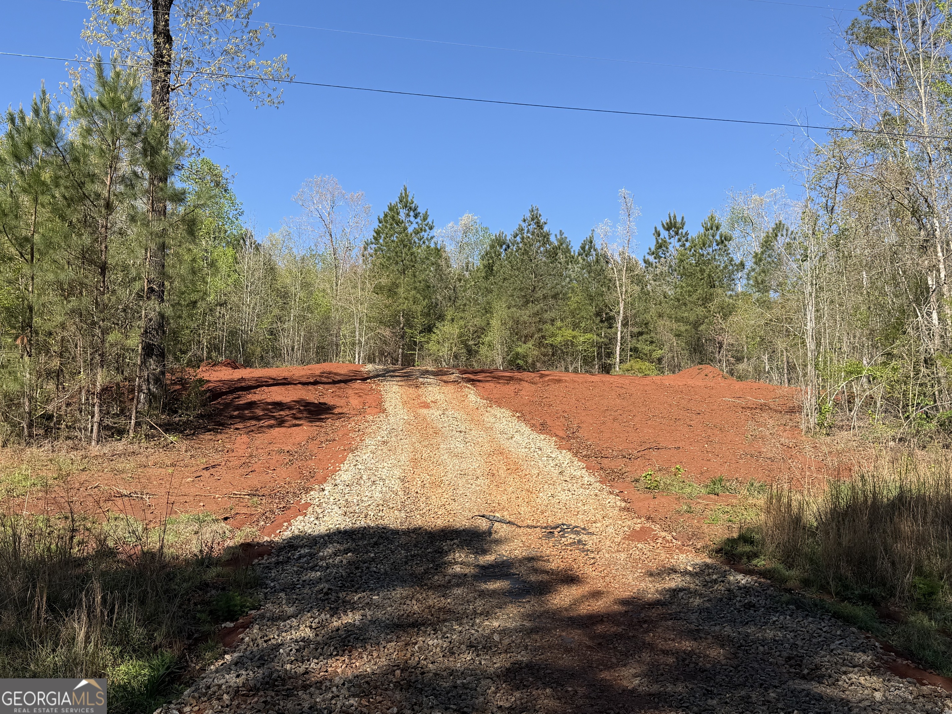 0 Andrews Chapel Road Thomaston, GA 30286 - Photo 8 of 9