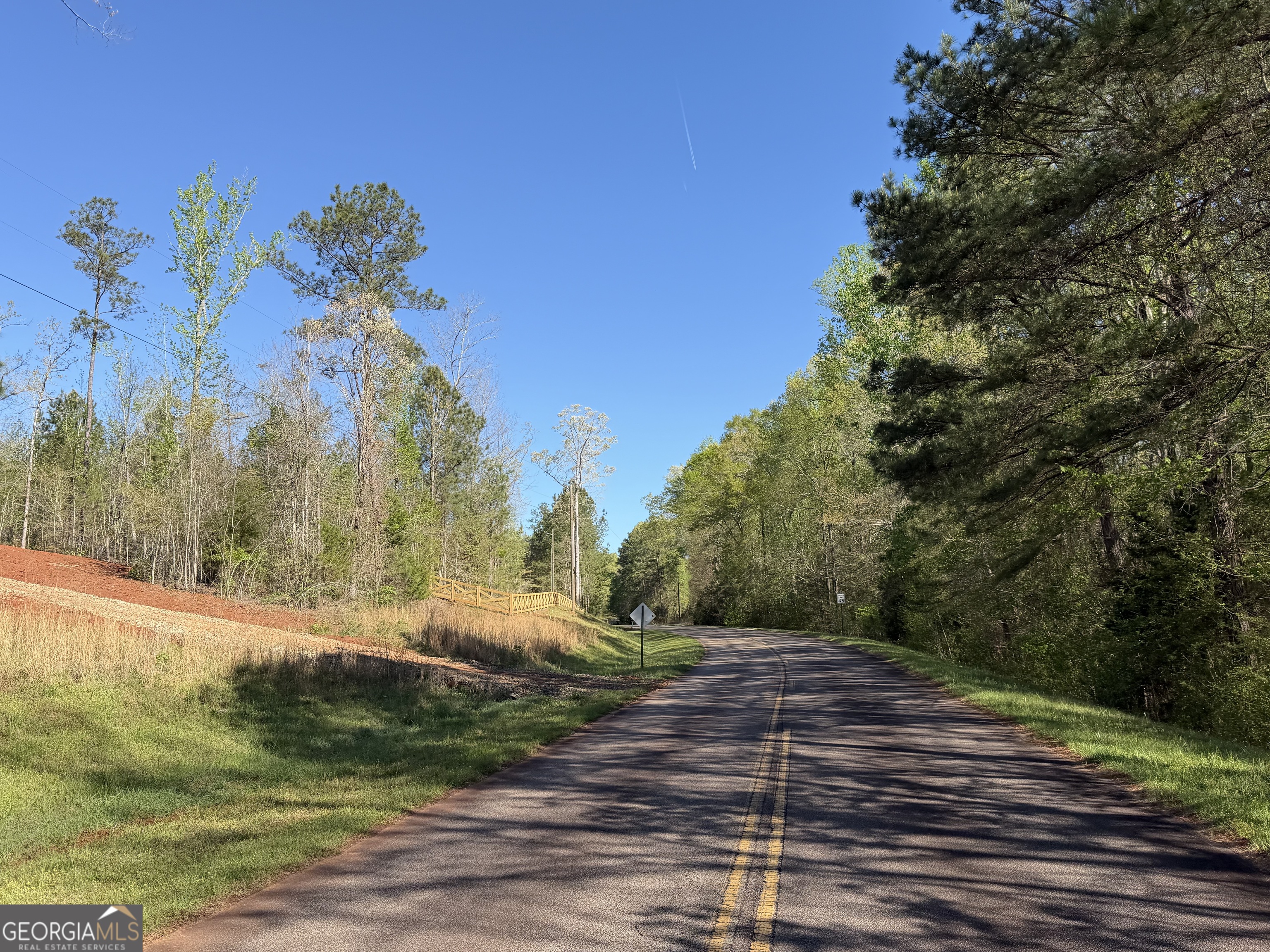 0 Andrews Chapel Road Thomaston, GA 30286 - Photo 9 of 9