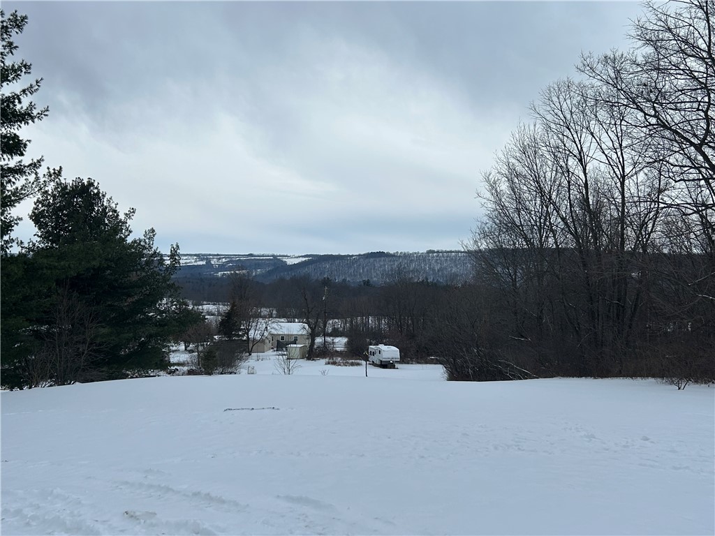 475 Kelly Hill Road Orange, NY 14815 - Photo 42 of 44 Distant Hillside View
