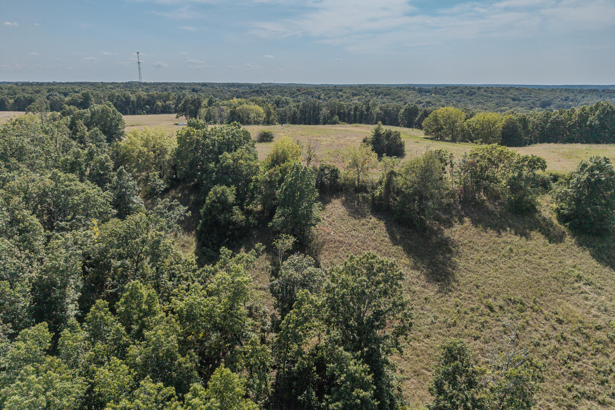 0 White Clover Road Strafford, MO 65757 - Photo 19 of 38 Aerial