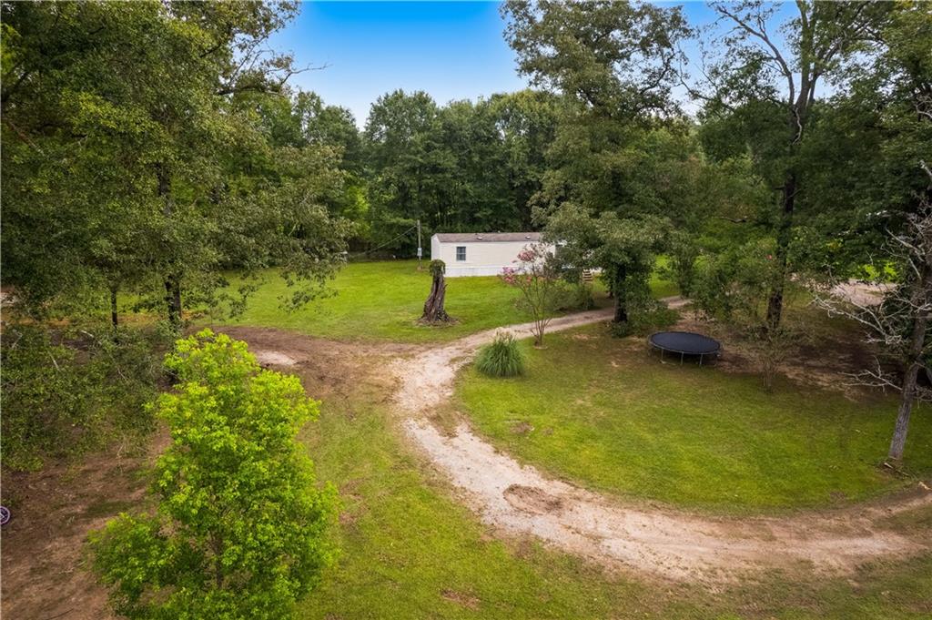 124 Borland Road Deville, LA 71328 - Photo 28 of 32