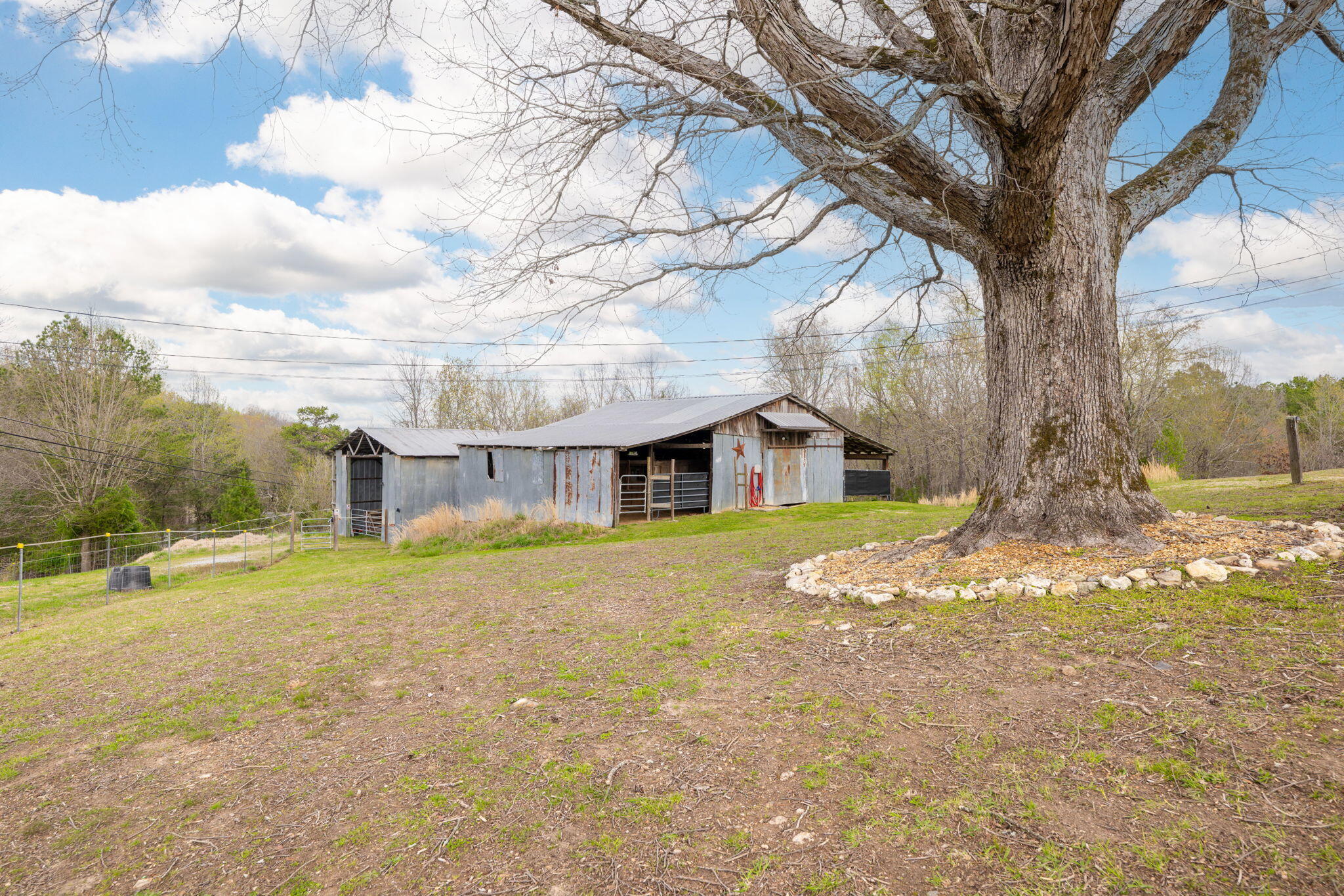 6909 Sims Road Harrison, TN 37341 - Photo 15 of 96 Three Dog Farm