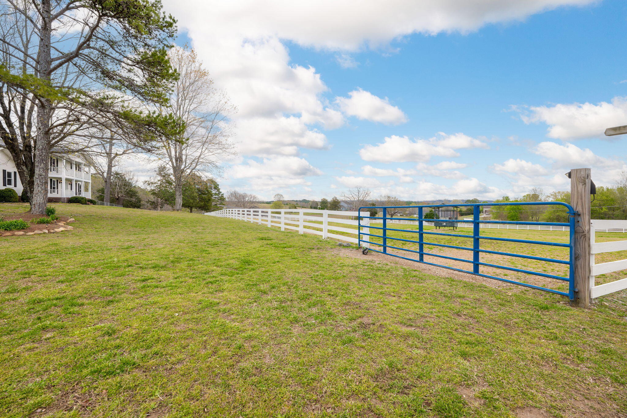 6909 Sims Road Harrison, TN 37341 - Photo 91 of 96 88-web-or-mls-DSC_3961-94