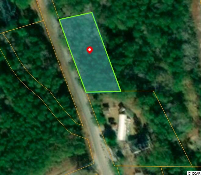 Tbd Bombing Range Road Longs, SC 29568 - Photo 1 of 4 Gallery Image 1