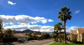 a picture of flowers