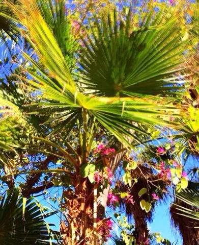 $4,000 | 45540 Desert Fox Drive, La Quinta, CA 92253