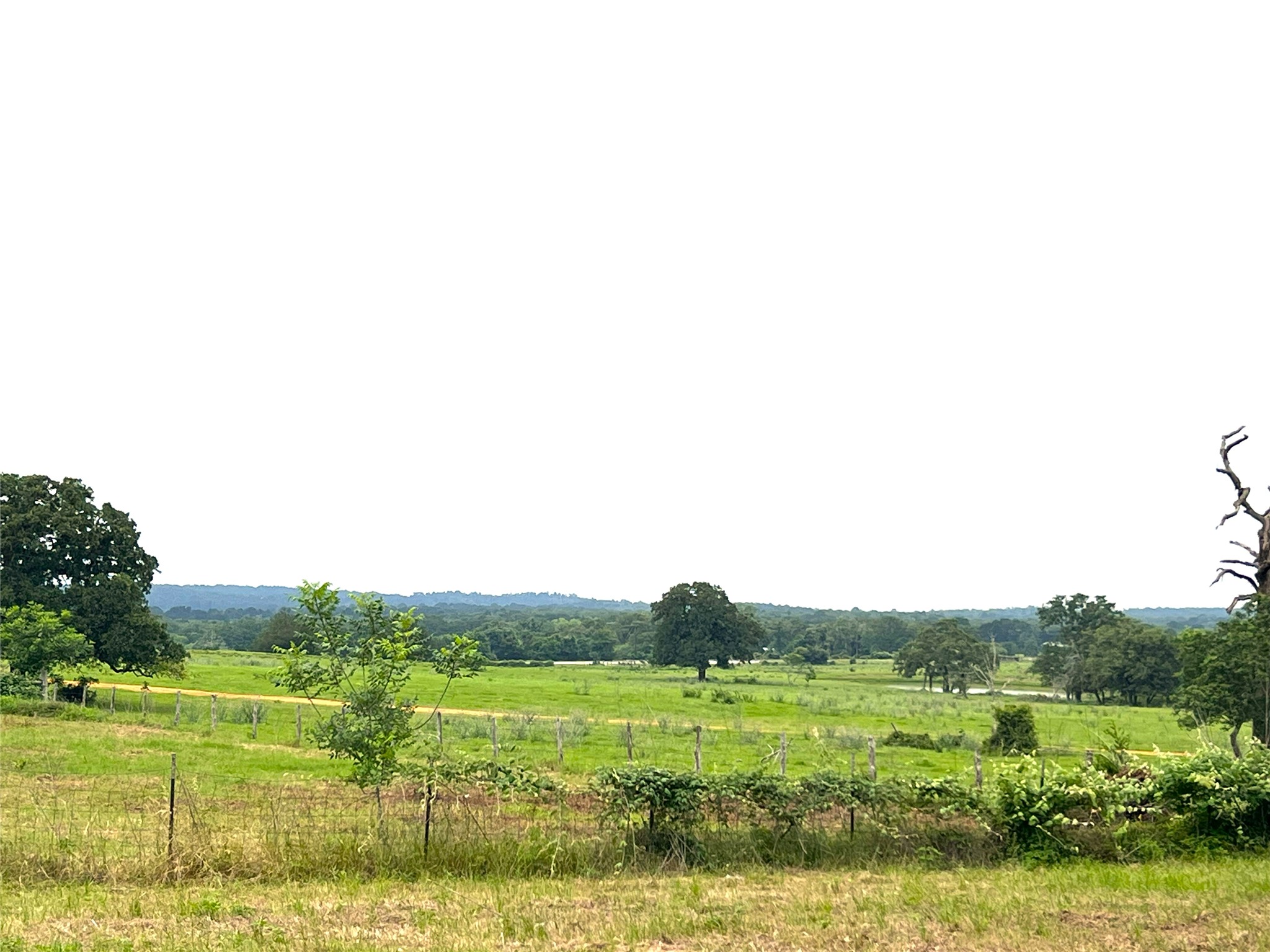 160 Rosanky Cattle Company Road, Unit R Smithville, TX 78957 - Photo 19 of 19 a view of a grassy field with trees