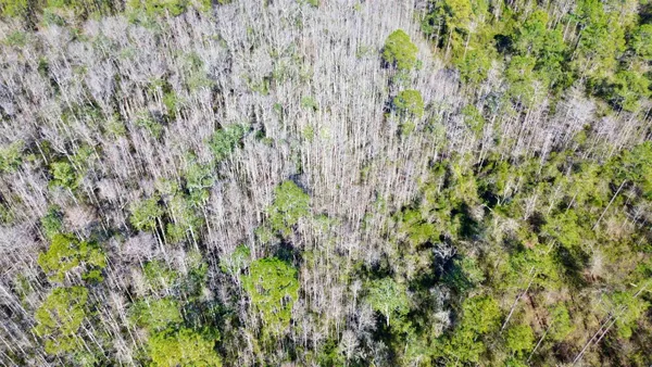 $44,000 | Vacant Southwest Open Sands Loop, Greenville, FL 32331