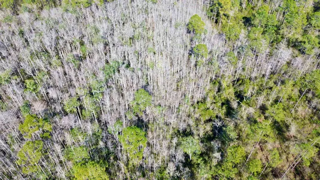 $49,000 | Vacant Southwest Open Sands Loop, Greenville, FL 32331