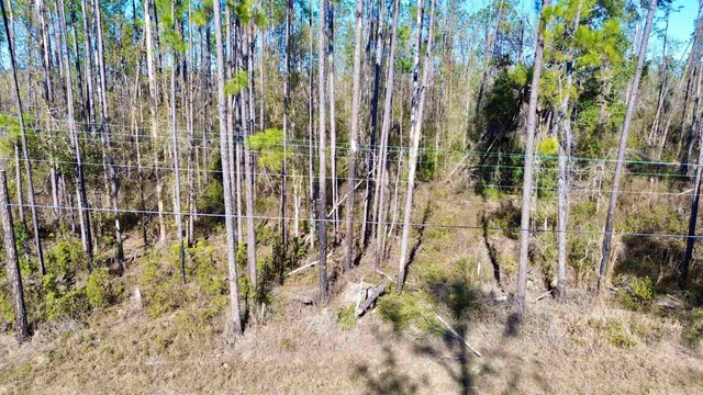 $49,000 | Vacant Southwest Open Sands Loop, Greenville, FL 32331