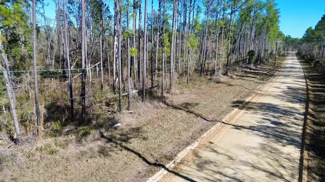 $49,000 | Vacant Southwest Open Sands Loop, Greenville, FL 32331
