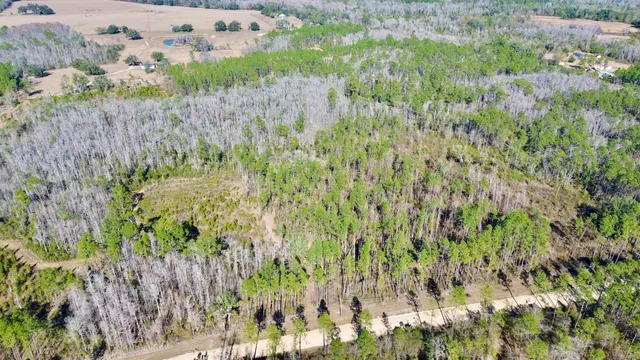 $49,000 | Vacant Southwest Open Sands Loop, Greenville, FL 32331