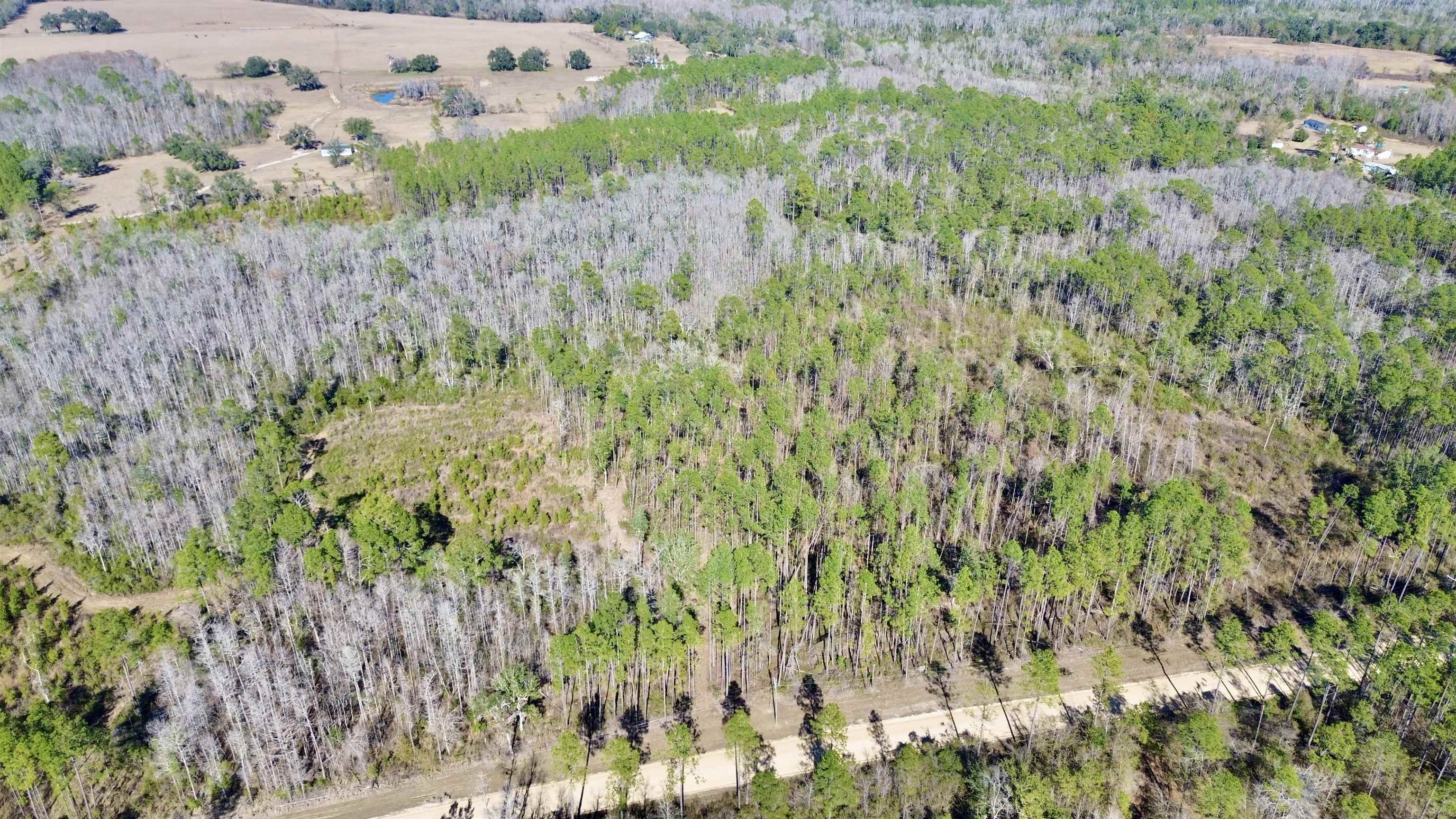 Vacant Southwest Open Sands Loop Greenville, FL 32331 - Photo 15 of 23