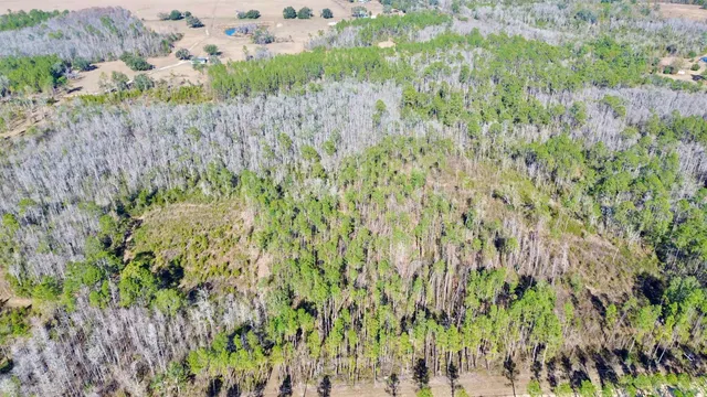 $49,000 | Vacant Southwest Open Sands Loop, Greenville, FL 32331