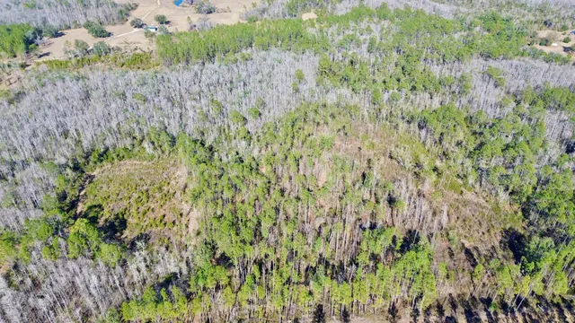 $49,000 | Vacant Southwest Open Sands Loop, Greenville, FL 32331