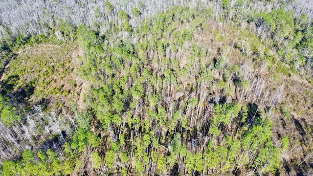 $49,000 | Vacant Southwest Open Sands Loop, Greenville, FL 32331