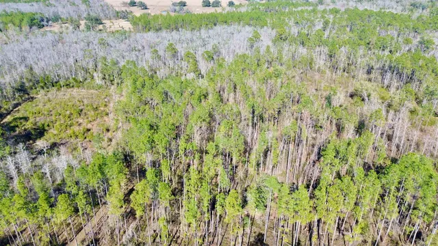 $49,000 | Vacant Southwest Open Sands Loop, Greenville, FL 32331