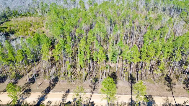 $49,000 | Vacant Southwest Open Sands Loop, Greenville, FL 32331